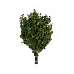 METLA DO SAUNY BREZA